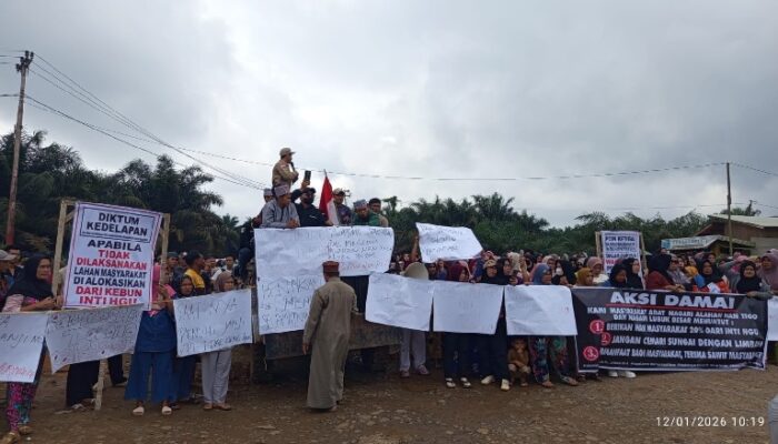Janji Plasma Tak Kunjung Terwujud, Ratusan Warga Demo PT Tidar Kerinci Agung