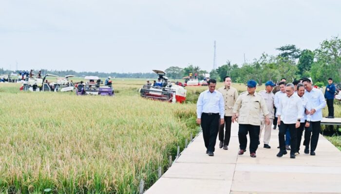 Prabowo Umumkan Keberhasilan Indonesia Capai Swasembada Pangan